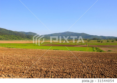 幌加内のそば畑（耕しています・春） 31544054