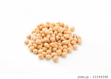大豆 31544596