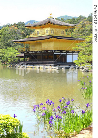 金閣寺 五月撮影1 31544642