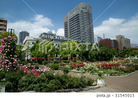 山下公園中央広場花壇と老舗ホテル 31545015