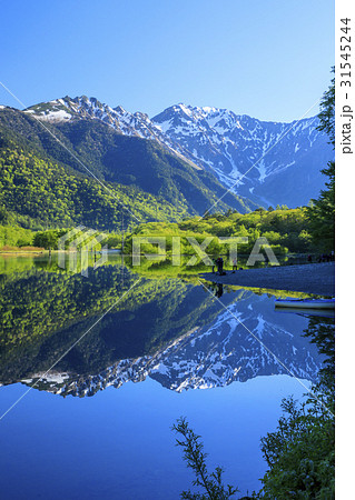 上高地　新緑 31545244