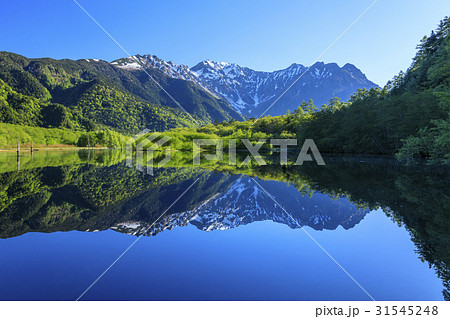 上高地 新緑 上高地 新緑 31545248