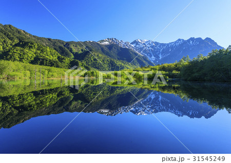 上高地 新緑 上高地 新緑 31545249