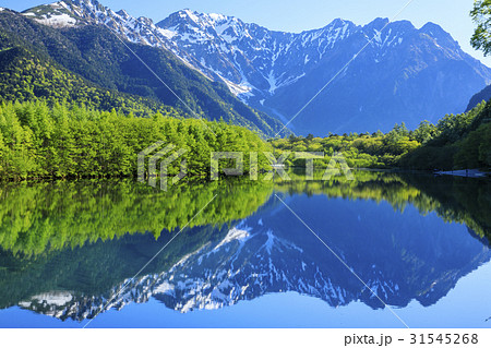 上高地 新緑 上高地 新緑 31545268