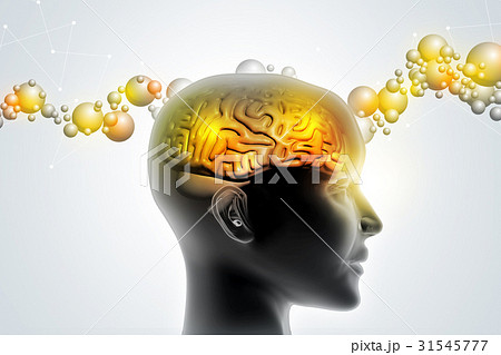 Man head showing the human brain 31545777