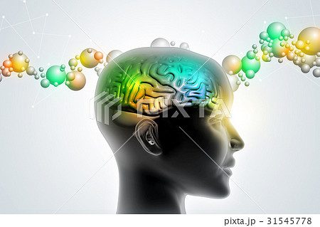 Man head showing the human brain Man head showing the human brain 31545778