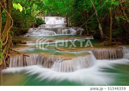 Deep forest Waterfall 31546359