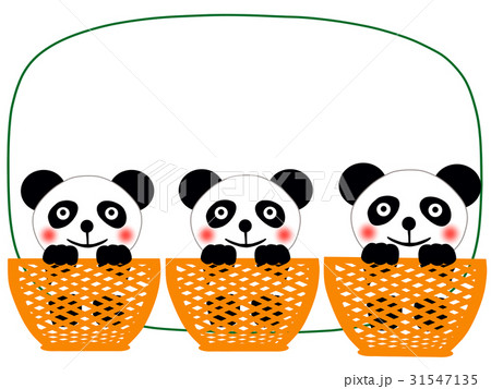 パンダ 31547135