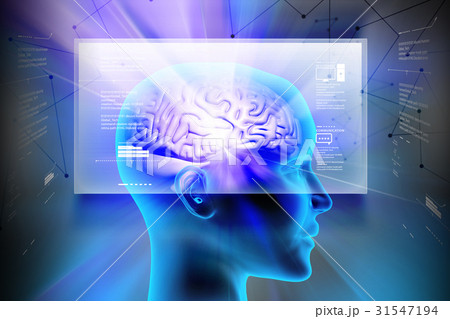 representation of female brain 31547194