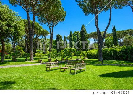 Benches and a table in the garden Benches and a table in the garden 31549831