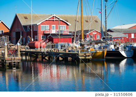harbor with fishing boats at the north of Denmark 31550606