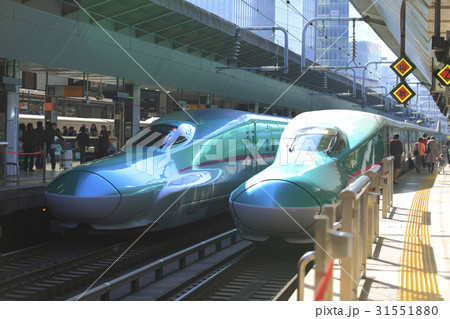 E5系 新幹線電車 朝の東京駅 E5系 新幹線電車 朝の東京駅 31551880