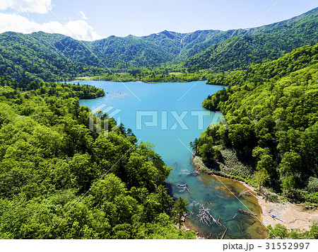 オコタンペ湖 空撮 31552997