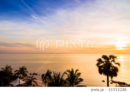 Silhouette coconut palm tree with sea and beach 31553286