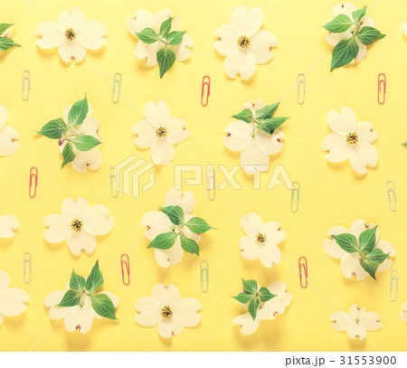 Spring flowers and paper clips Spring flowers and paper clips 31553900