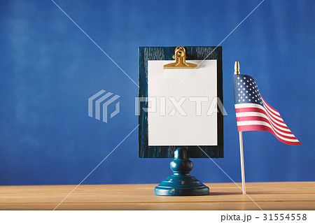 American holiday theme 31554558