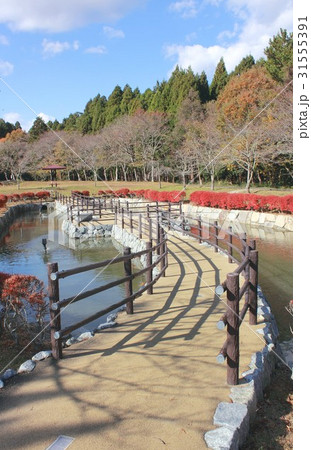 秋深まる福島県楢葉町の天神岬スポーツ公園 31555391