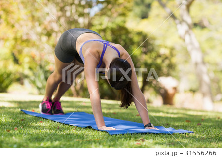 Young woman doing yoga Young woman doing yoga 31556266