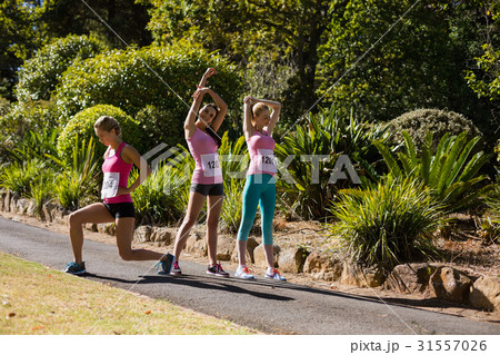 Young athlete women exercising Young athlete women exercising 31557026