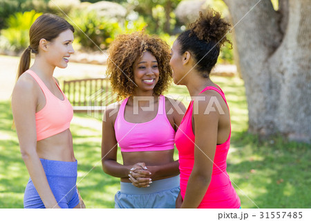 Group of friends talking with each other Group of friends talking with each other 31557485