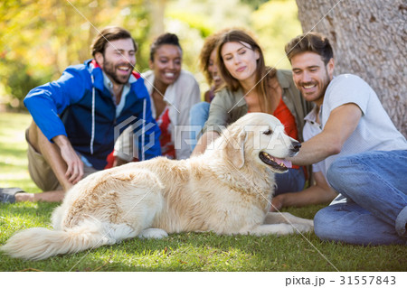 Group of happy friends sitting together with the dog Group of happy friends sitting together with the dog 31557843