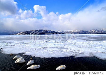 厳寒の北海道道東屈斜路湖 31560147