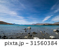 Lake Tekapo 31560384