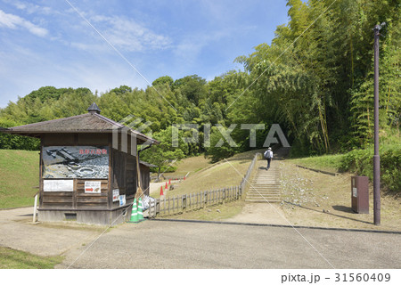 酒船石へ続く階段（奈良県明日香村） 31560409