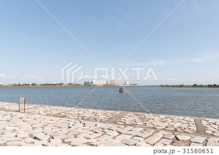 葛西臨海公園 31560651