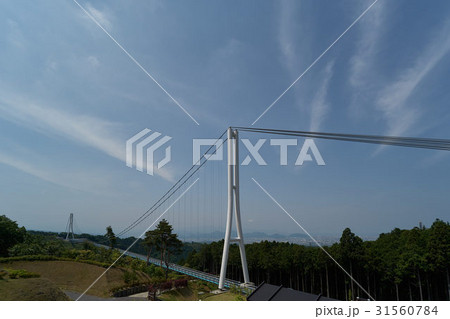 晴天の空と吊橋、三島スカイウォーク、静岡県(超広角撮影) 晴天の空と吊橋、三島スカイウォーク、静岡県(超広角撮影) 31560784