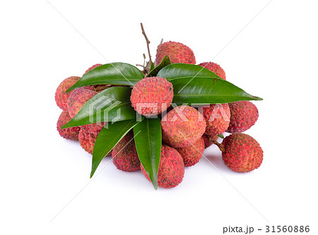 bunch of fresh Lychees with leaves and stem 31560886