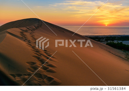Sand dunes on Patara beach at sunset. Turkey Sand dunes on Patara beach at sunset. Turkey 31561384