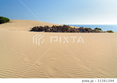 Sand dunes on Patara beach. Turkey Sand dunes on Patara beach. Turkey 31561394