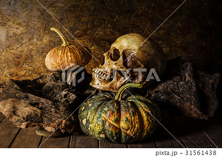 Still Life Skull and pumpkin on the timber. 31561438