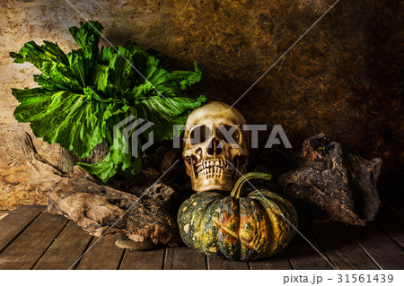 Still Life Skull and pumpkin on the timber. Still Life Skull and pumpkin on the timber. 31561439
