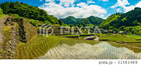 棚田の田植_ 熊本県球磨村鬼ノ口 31561469