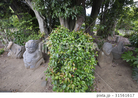猿石 吉備姫王墓(奈良県明日香村) 猿石 吉備姫王墓(奈良県明日香村) 31561617