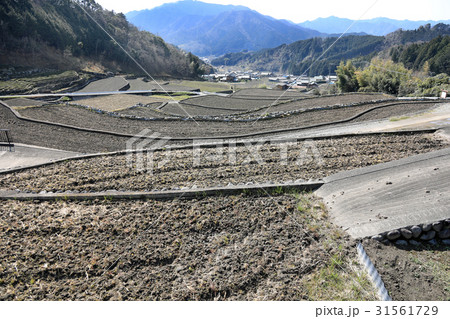 深野棚田02 深野棚田02 31561729