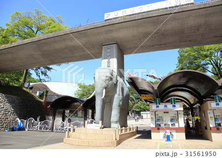 多摩動物公園  　日野市 31561950