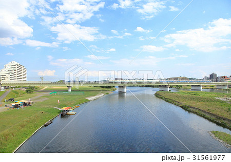 多摩水道橋から見た多摩川 狛江市 多摩水道橋から見た多摩川 狛江市 31561977