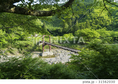 吊り橋 31562030