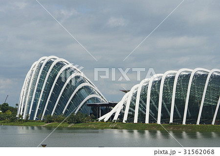 庭 庭園 ガーデン 31562068