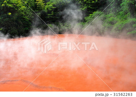 別府温泉血の池地獄 31562263