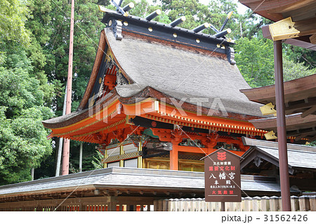 水戸八幡宮　本殿 31562426