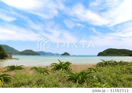 蛤浜海水浴場 31562513