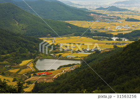 慶南 田畑 村 31563256