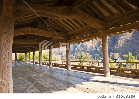 慶北 世界文化遺産 安東市 31563284