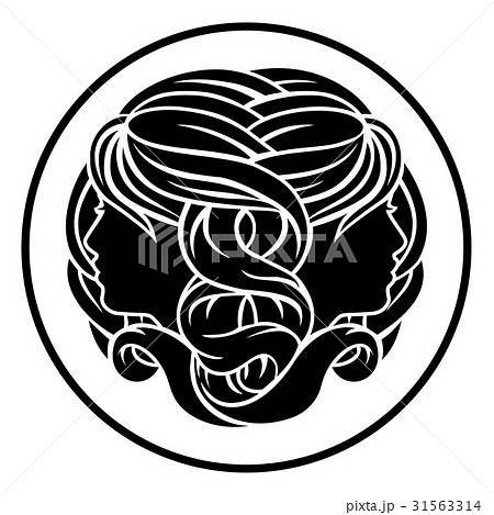 Zodiac Signs Gemini Twins 31563314