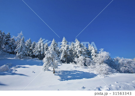 江原道 大関嶺 平昌郡 31563343
