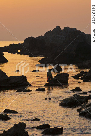 江原道 海 三陟 31563361